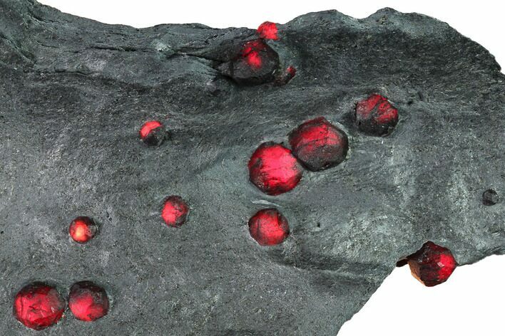 Plate of + Red Embers Garnets in Graphite - Massachusetts #165526